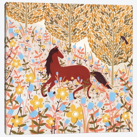 Horse Meadow Canvas Print #SUH27} by Sian Summerhayes Canvas Art Print