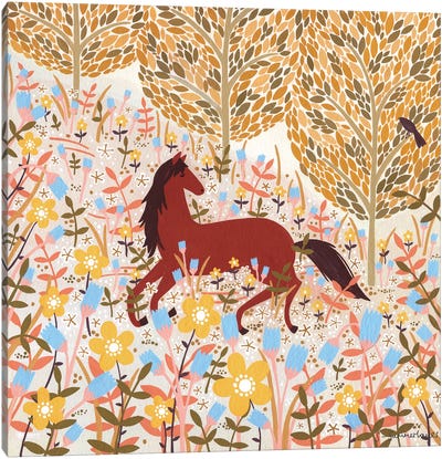 Horse Meadow Canvas Art Print - Sian Summerhayes