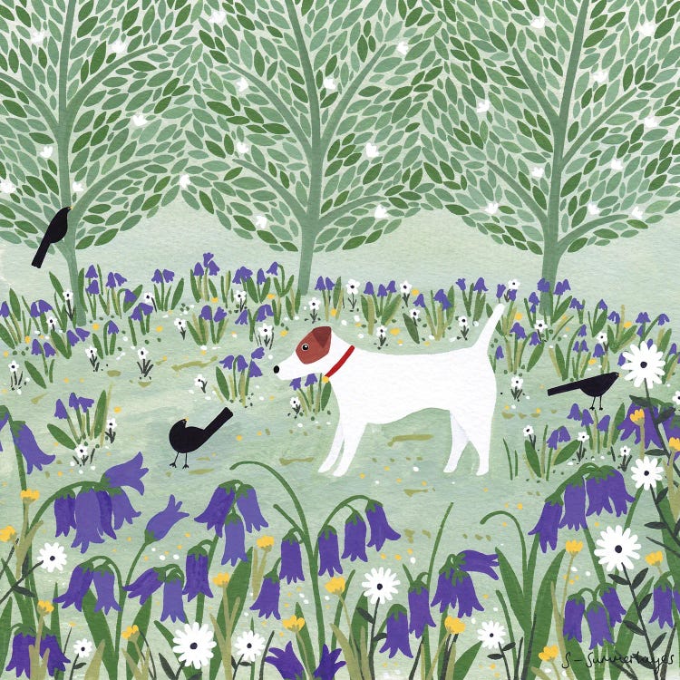 Jack Russell Among Bluebells