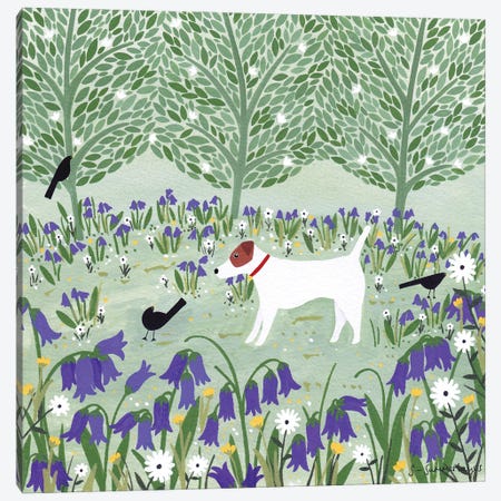 Jack Russell Among Bluebells Canvas Print #SUH28} by Sian Summerhayes Canvas Art