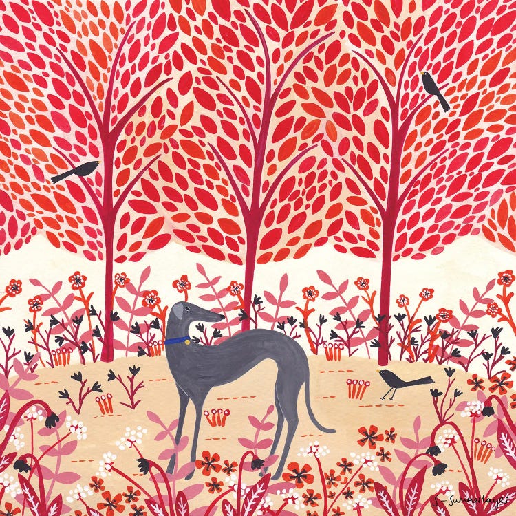 Autumn Greyhound