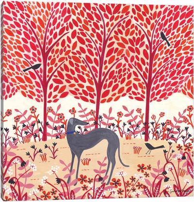 Autumn Greyhound Canvas Art Print - Sian Summerhayes