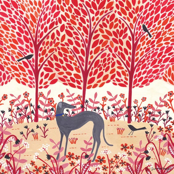 Greyhounds: Autumn Greyhound by Sian Summerhayes