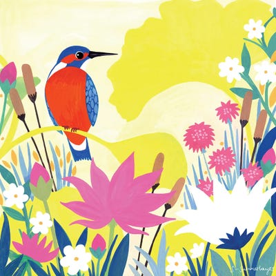 Kingfisher by Sian Summerhayes framed canvas print