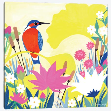 Kingfisher Canvas Print #SUH30} by Sian Summerhayes Art Print