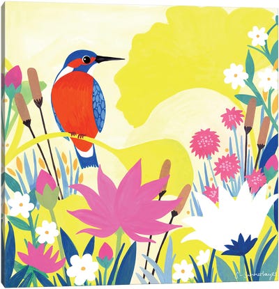 Kingfisher Canvas Art Print - Sian Summerhayes