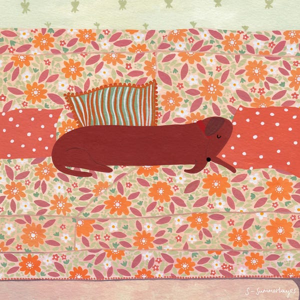 Flowers: Lazy Morning by Sian Summerhayes