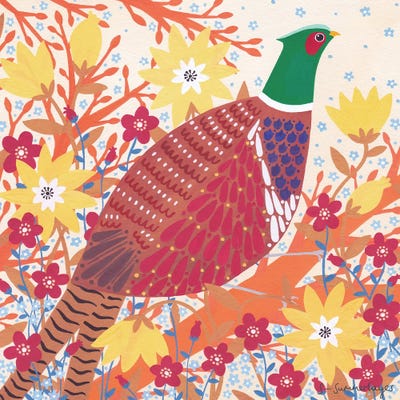Pheasant by Sian Summerhayes canvas print