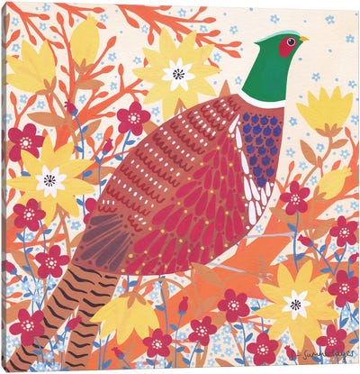 Pheasant Canvas Art Print - Sian Summerhayes