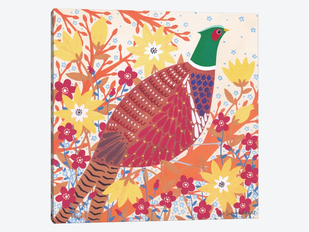 Pheasant by Sian Summerhayes 1-piece Canvas Wall Art