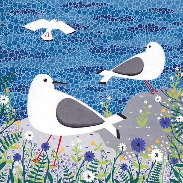 Beach Lover: Seagulls by Sian Summerhayes