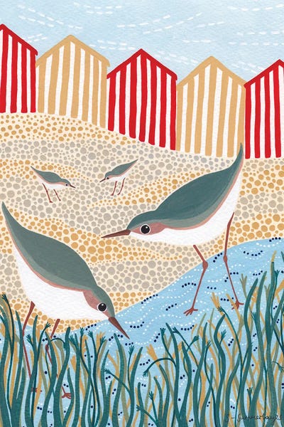 Beach Birds by Sian Summerhayes canvas print