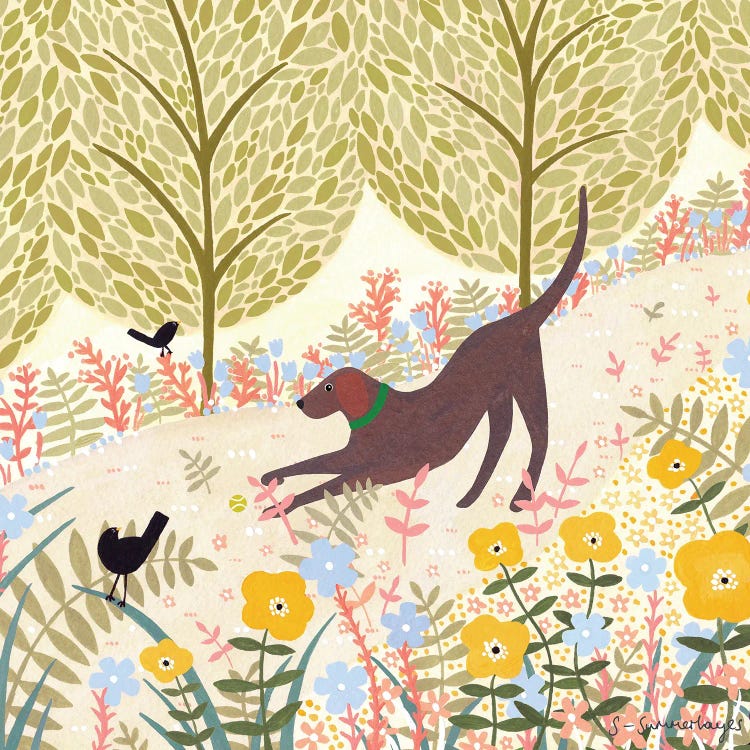 Summer Labrador by Sian Summerhayes wall art