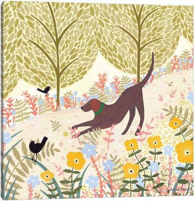 Summer Labrador Canvas Art Print - Sian Summerhayes