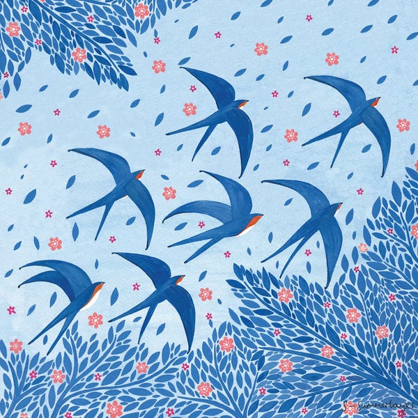 Martins & Swallows: Swallows by Sian Summerhayes
