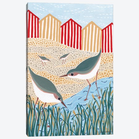 Beach Birds Canvas Print #SUH4} by Sian Summerhayes Canvas Wall Art