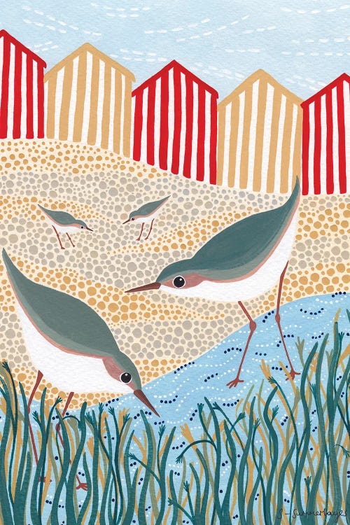 Beach Birds