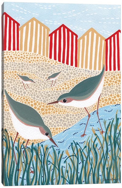 Beach Birds Canvas Art Print - Sian Summerhayes