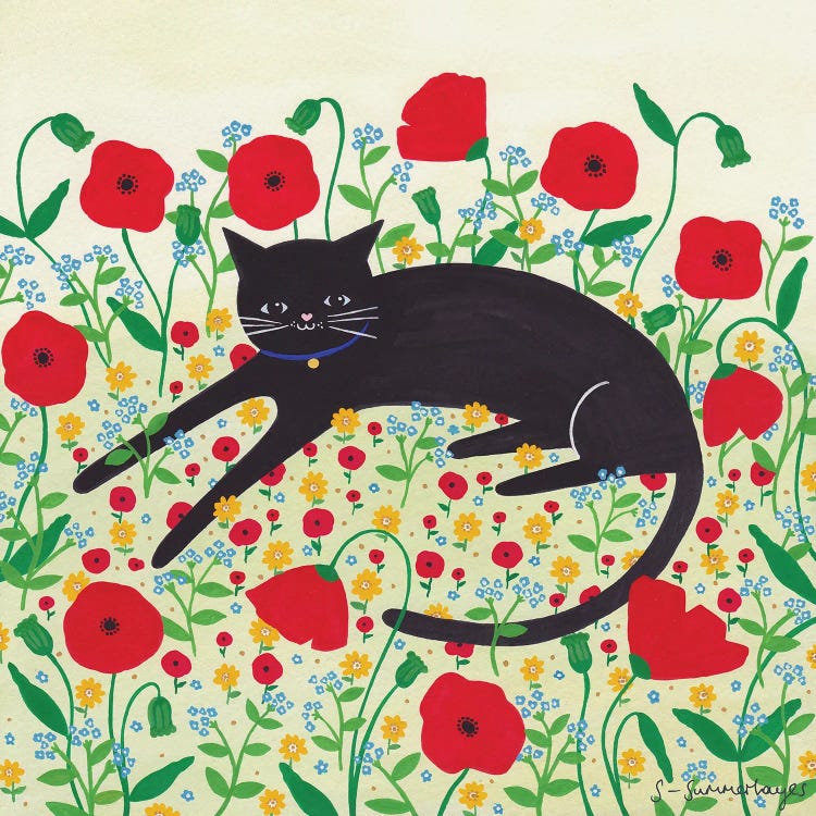 Cat With Poppies