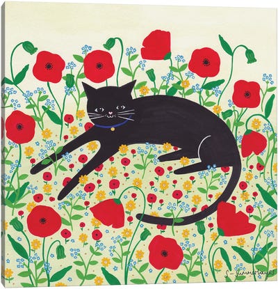 Cat With Poppies Canvas Art Print - Sian Summerhayes