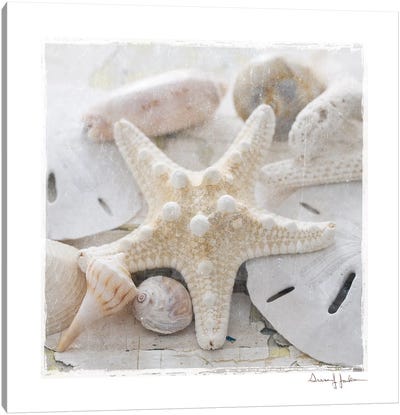 Sanibel I Canvas Art Print - Starfish Art