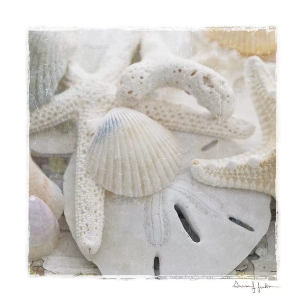 Starfish: Sanibel III by Susan Jackson