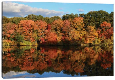Autumn Reflection Canvas Art Print
