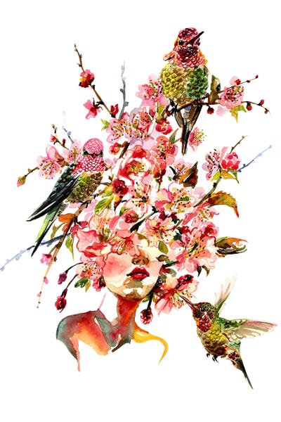 Hummingbirds: Floral Portrait Sakura by Sunny Gu