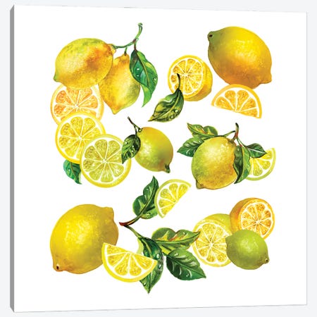 Lemon Comp I Canvas Print #SUN165} by Sunny Gu Art Print