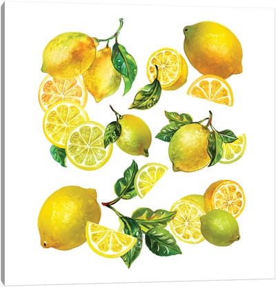 Lemon Comp I Canvas Art Print - Lemon & Lime Art