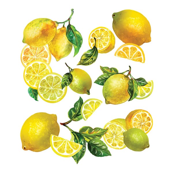 Sunny Gu: Lemon Comp I by Sunny Gu