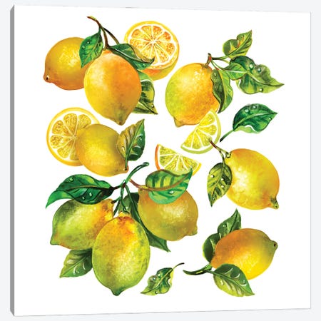 Lemon Comp II Canvas Print #SUN166} by Sunny Gu Art Print