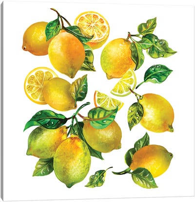 Lemon Comp II Canvas Art Print - Lemon & Lime Art