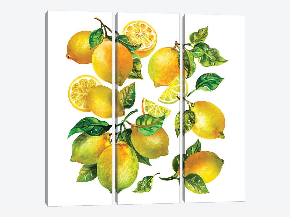 Lemon Comp II by Sunny Gu 3-piece Canvas Artwork