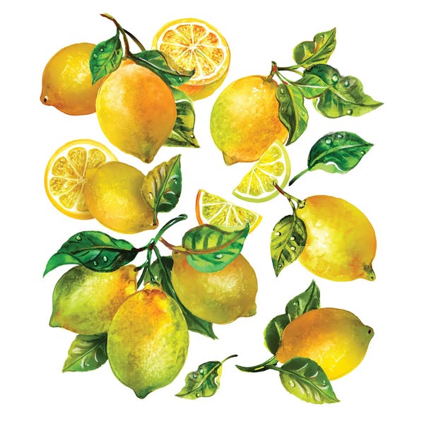 Lemons & Limes: Lemon Comp II by Sunny Gu