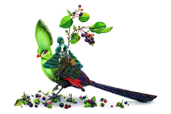 Sunny Gu: Guinea Turaco by Sunny Gu