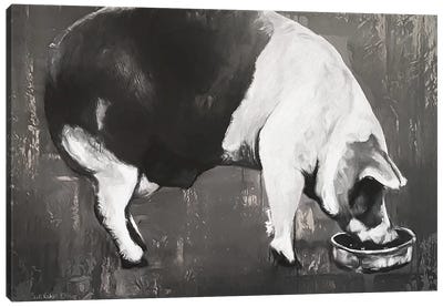 This Little Piggy  Canvas Art Print