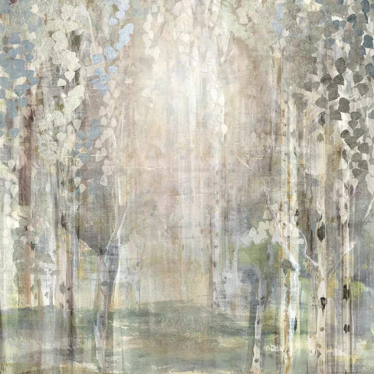 Birch Wood Clearing by Susan Jill wall art