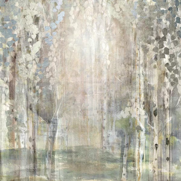 Birch Trees: Birch Wood Clearing by Susan Jill