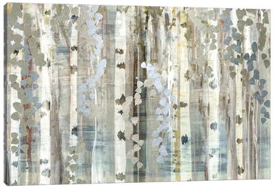Birch Wood Meadow Canvas Art Print - Mixed Media Art