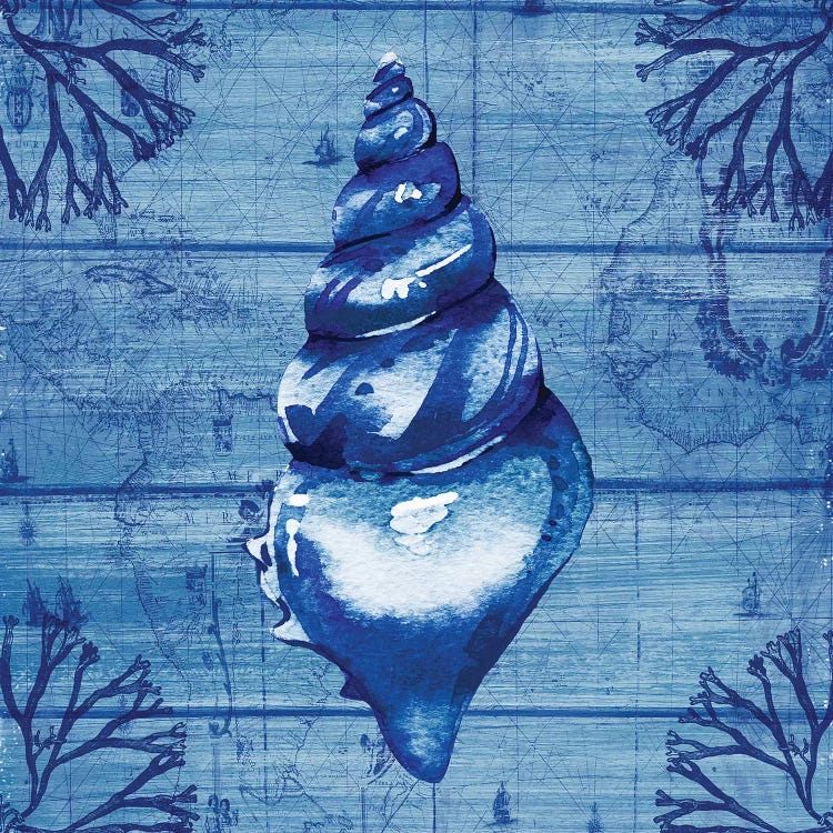 Indigo Conch by Susan Jill wall art