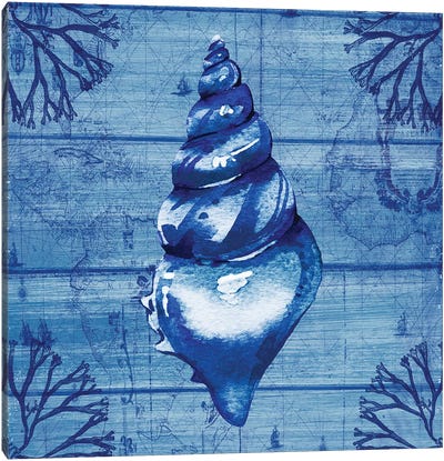 Indigo Conch Canvas Art Print - Sea Shell Art