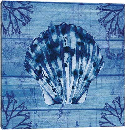 Indigo Scallop Canvas Art Print - Sea Shell Art