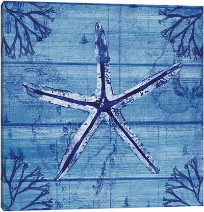 Indigo Starfish Canvas Art Print - Starfish Art