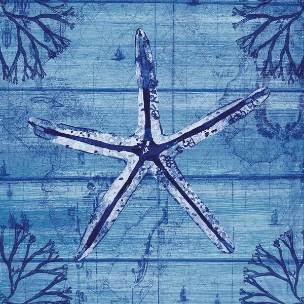 Susan Jill: Indigo Starfish by Susan Jill