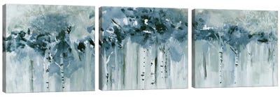 Blue Birch Morning Canvas Art Print - Panoramic & Horizontal Wall Art