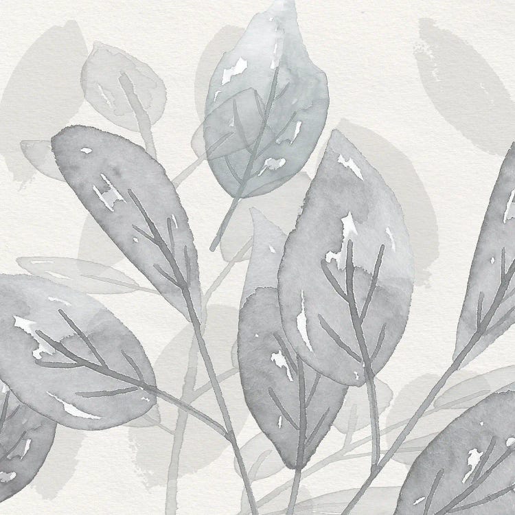 Shadow Leaves II by Susan Jill wall art