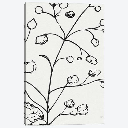Botanical Sketch I Canvas Print #SUS271} by Susan Jill Canvas Artwork
