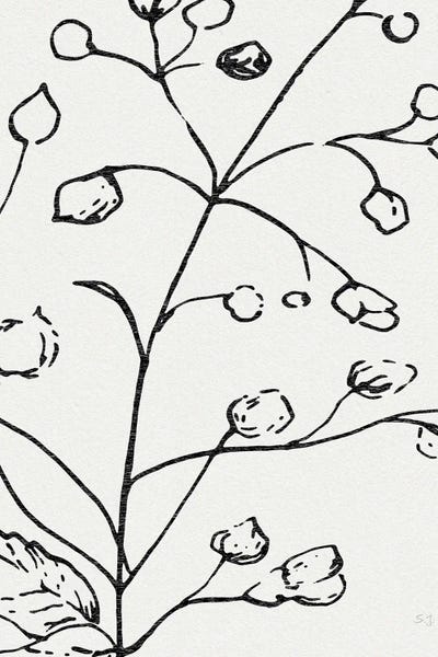 Black & White Florals: Botanical Sketch I by Susan Jill