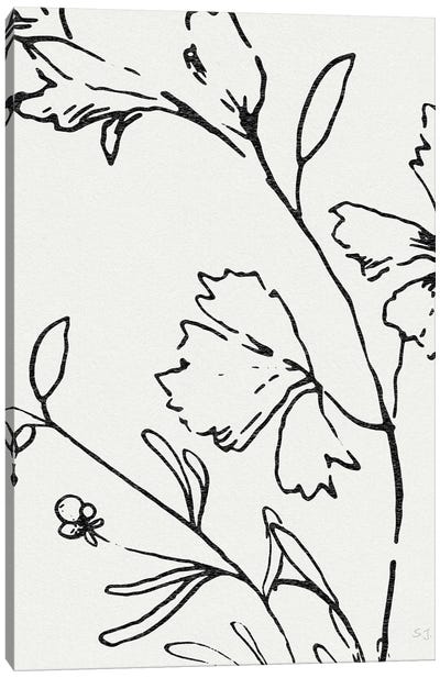 Botanical Sketch II Canvas Art Print - Susan Jill
